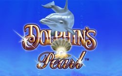 Dolphins Pearl