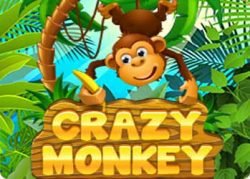 Crazy Monkey