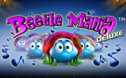 Beetle Mania deluxe