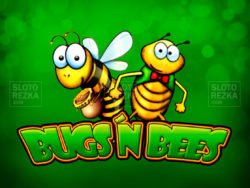 Вugs and Вees